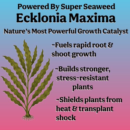 Organic Liquid Indoor Plant Food, Houseplant, Tropical & All-Purpose Indoor Plant Fertilizer, Organic Liquid Fertilizer 5-5-5 with Sea Kelp, 8oz Treats 50 Gallons - size: 8oz