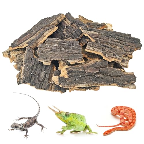 BNOSDM Reptile Cork Bark Substrate 1.5LB Lizard Bedding for Habitat Natural Flat Cork Wood Bulk Terrarium Reusable Bark Pieces for Chameleon, Ball Python, Crested Gecko, Spider, Tortoise, Tree Frog - size: 1.5LB