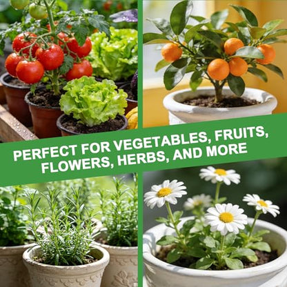 Organic Seed Starter Soil and Potting Mix 10qt，100% Natural,Promotes Rapid Rooting & Germination - color: Sendling Soil, size: 10QT