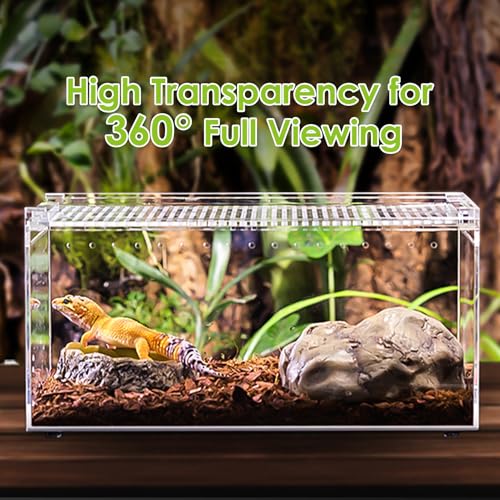 Reptile Terrarium Enclosure 12"x 8"x 6" Acrylic Tarantula Breeding Box Magnetic Hermit Crab Habitat Tank Transparent Jumping Spider Cage for Insect Snail Amphibians Sling Isopods - size: L: Standard Version