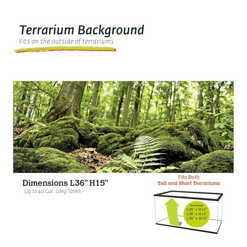 Galápagos (05421) Terrarium Cling | Hi-Resolution Aquarium & Reptile Tank Backdrop | Static Vinyl Clings for Bearded Dragon, Gecko, Turtle, Snake, and Lizard Enclosures, 15" x 36", Forest - color: Forest