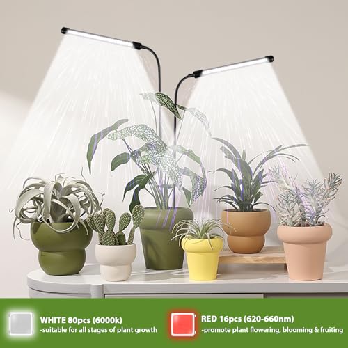 Grow Light 2 Pack, 6000K Full Spectrum Gooseneck Growing Lamp for Indoor Bonsai Pot Succulents Micro Greens Mini Plants, Dimmable & Auto Timer 4 8 12H - size: 30W