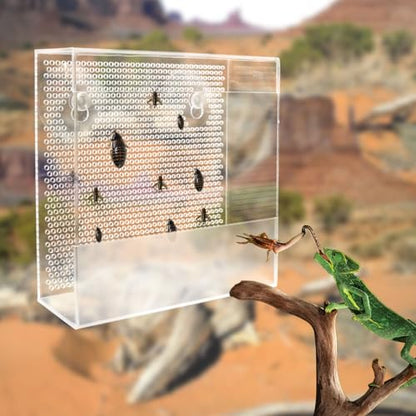 Transparent Acrylic Reptile Feeder Box, Wall-Mounted Insect Feeder with Suction Cups, Tank and Aquarium Accessories for Lizard, Bearded Dragon, Gecko - size: Large - 7.5 × 2.7 × 7.7 inch