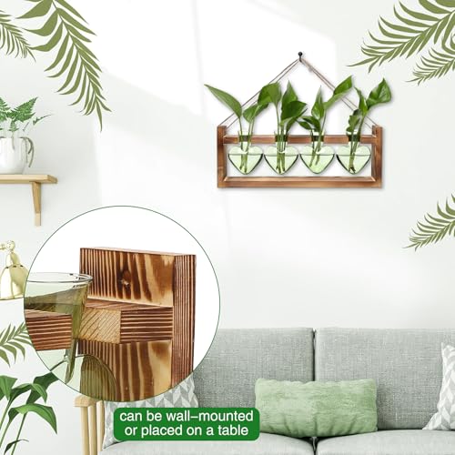 Plant Propagation Stations Heart Plant Terrarium Kit | Gift for Women Plant Lover Glass Vases - color: Green