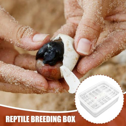 Reptile Egg Incubator Box Incubation Box Hatching Case Hatching Tray | 16 Grids Transparent Reptile Incubator for Snake Lizard Turtle Gecko Chameleon Bearded Dragon Leopard Gecko Egg Incubation - color: B