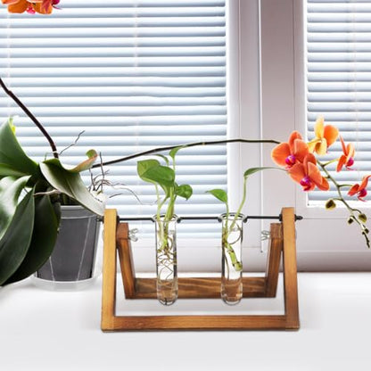 5PCS Glass Tubes for Plants, Propagation Tubes for Plants | Glass Test Pipe Vase for Scientific Experiments, Desktop Party Home Office Decor, Flowers Desktop, Indoor Hydroponic Station