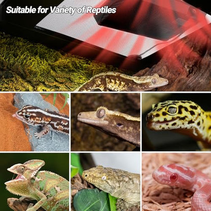REPTI ZOO Reptile Heat Panel Adjustable Temperature Reptile Heating Plate, Non-Light Heating Solution with Expanded Heating Range for Hermit Crabs/Leopard Geckos/Turtles/Snakes/Lizards - size: 6" X 9"