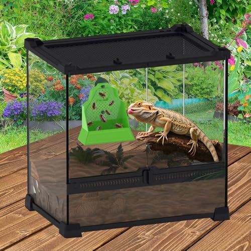 Reptile Bug Feed Bowl, Suction Cup Hanger Escapeproof Bugs Feeder Box with Ventilation Holes, Wall-Mounted Hunting Food Bowl for Lizard Bearded Dragon Frog - size: Medium 15*6*16cm/5.9*2.4*6.3"