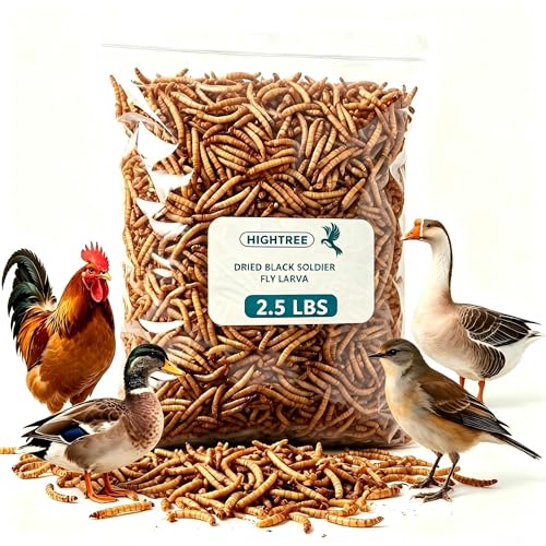 Dried Black Soldier Fly Larvae Chicken Feed 100% Natural Non-GMO, No Additives, Treat for Chickens, Reptiles and Birds, More Calcium than Mealworms for Wild Birds, Ducks, Laying Hens (2.5LBS)