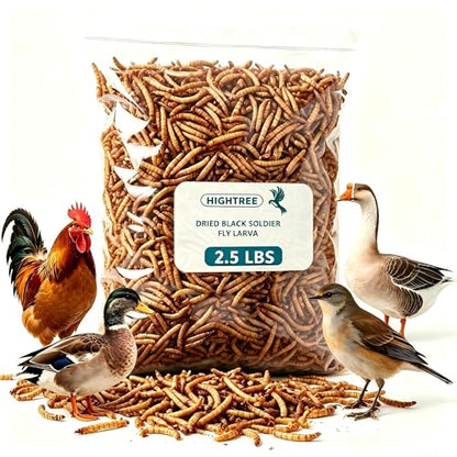 Dried Black Soldier Fly Larvae Chicken Feed 100% Natural Non-GMO, No Additives, Treat for Chickens, Reptiles and Birds, More Calcium than Mealworms for Wild Birds, Ducks, Laying Hens (2.5LBS)