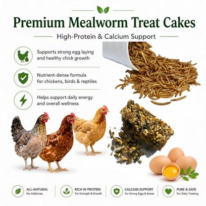 2LB Dried Mealworms with 175g Pecking Treat Cake for Chickens | Ducks & Wild Birds - High Protein Natural Poultry Treats
