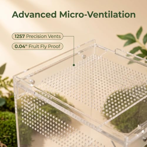 Jumping Spider Enclosure, 6x6x9 Inch Upgraded Acrylic Tarantula Terrarium Habitat with Dual Magnetic Doors, Fully Assembled Escape-Proof Insect Tank for Mantis, Gecko, Lizard & Small Reptiles