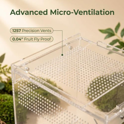 Jumping Spider Enclosure, 6x6x9 Inch Upgraded Acrylic Tarantula Terrarium Habitat with Dual Magnetic Doors, Fully Assembled Escape-Proof Insect Tank for Mantis, Gecko, Lizard & Small Reptiles