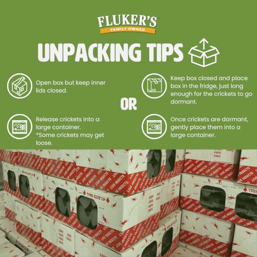 Fluker's Live Crickets for Reptiles, Chickens, Birds and Fishing, 100 Count Feeder Insects Gut Loaded with Orange Cube, High Calcium, and Vitamins, Shipped Fresh in a Ventilated Box (1/4 Inch) - size: 100 Count (Pack of 1), style: Small, 1/4"
