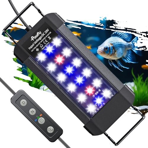 Pawfly 6 W Extendable Aquarium LED Light for 6 to10 Inch Fish Tank with Full Spectrum Brilliant White Blue Red Lights with Daytime & Night Modes and Adjustable Brightness - color: Basic with Timer, size: 6"-10"