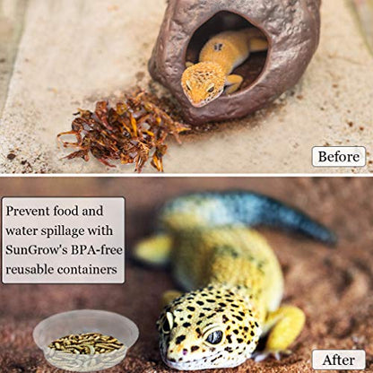 SunGrow Reusable Gecko Food & Water Cups, 50 Pcs, 0.5 Oz Recyclable Plastic Bowls, Fits Small Stands & Feeders, Durable & Easy to Clean, Ideal for Reptiles - in Resealable Bag