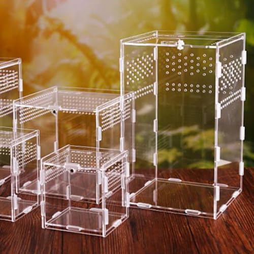 NUOBESTY Magnetic Modular Reptile Breeding Box 12x12x20cm High Transparency Pet Spider and Reptile Storage Holder Terrarium Suitable for Breeders and Transport