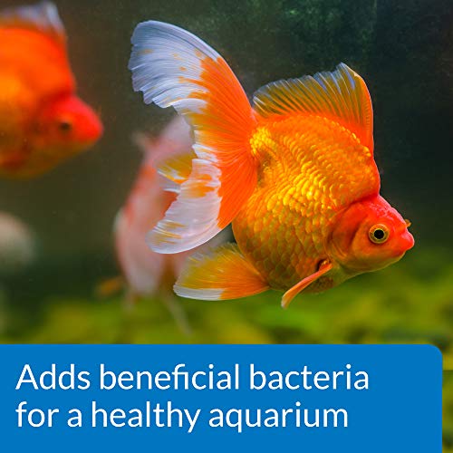 API GOLDFISH PROTECT Aquarium Water Conditioner 4-Ounce Bottle - size: Water Conditioner