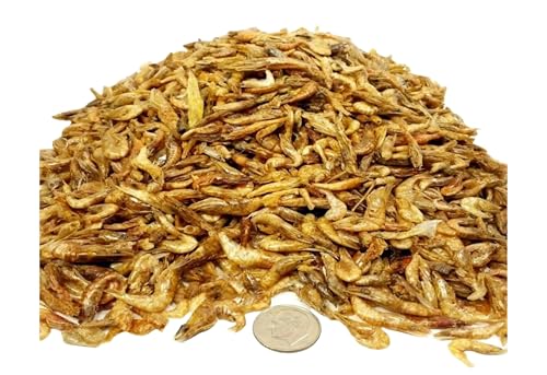Red Shrimp-Freeze Dried 1/2" to 1 &1/4" Floating Red River Shrimp for All Tropicals, Turtles, Koi & Pond Fish, Rodents…7oz Med Jar - size: 7 Ounce (Pack of 1)