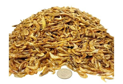 Red Shrimp-Freeze Dried 1/2" to 1 &1/4" Floating Red River Shrimp for All Tropicals, Turtles, Koi & Pond Fish, Rodents…7oz Med Jar - size: 7 Ounce (Pack of 1)