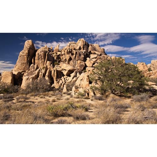 Desert Reptile Tank Background Hidden Valley Joshua Tree Terrarium Background Desert Landscape Reptile Terrarium Background Rocky Bush Reptile Habitat Background Bearded Dragon Tank Background 24x12in - color: Rock Brown, size: 24(W)x12(H)inches/ 60(W)*30