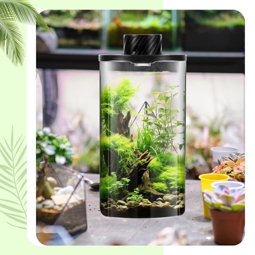 Glass Terrarium Kit with LED Grow Light for Desktop,7.9 x 3.9 Inch | Self Contained Ecosystem, Large Capacity Succulents Moss Venus Fly Trap, Borosilicate Planter, Miniature Garden Home Decor