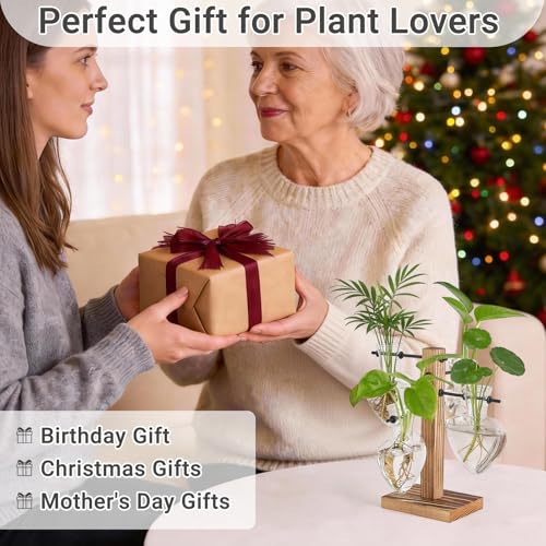 Mkono Propagation Stations,4 Heart Shaped Glass Plant Vases with Wood Stand | Hydroponic Terrarium, Desktop Propagation Jars, Cute Air Plant Flower Holder,Home Office Decor, Plant Lover Gardening Gift - size: 4 Heart Bulb Vase