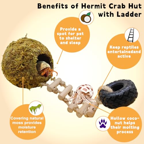 Hermit Crab Moss Coconut Shell Hideout with Climb Ladder,Leopard Gecko Hide Hut with Moss and Sea Shells,Hermit Crab Climbing Tank Accessories for Crested Gecko,Reptiles