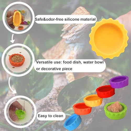 Meow&Woof 8 Pcs Reusable Silicone Reptile Feeding Cups – Bearded Dragon Water Bowl & Crested Gecko Food Dish, Habitat Tank Starter Kit Accessories for Turtle, Snake, Hermit Crab - color: 8pcs