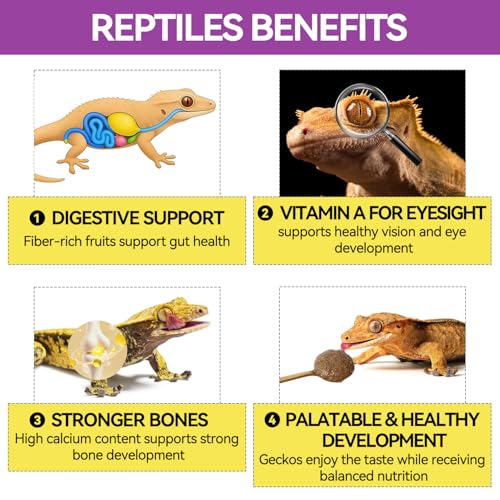 NANEEZOO Gecko Food with Fruit Mix Watermelon, 3 oz Complete Gecko Diet for Reptiles, Crested Geckos – High Protein, Hydrating Nutrition