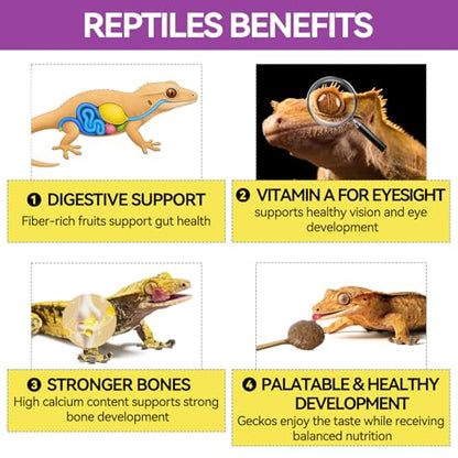 NANEEZOO Gecko Food with Fruit Mix Watermelon, 3 oz Complete Gecko Diet for Reptiles, Crested Geckos – High Protein, Hydrating Nutrition