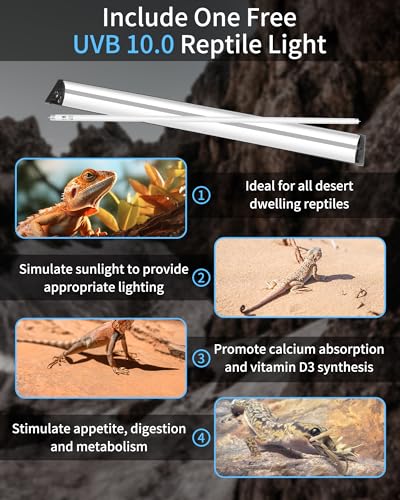 LUCKY HERP T5 Reptile Light Fixture Combo Kit 39W (New Upgrade), UVB Reptile Light Fixture with Desert UVB 10.0 34" Fluorescent Tube, UVA UVB Reptile Light for Lizard, Bearded Dragon, Tortoise - size: 34 Inch