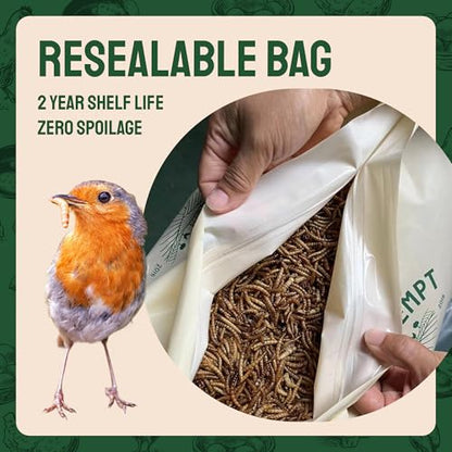 Hatortempt 1.8lb Dried Mealworms for Chickens, High Protein Bird Feed | High-Protein Blue Bird Food - Organic Diet Meal Worms - Hand Inspected Treats for Blue Birds, Robin, Ducks - 2 Yr Shelf Life - size: 1.8 Pound (Pack of 1)