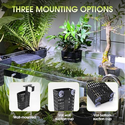 2 PCS Upgraded Aquarium Plant Holder, Adjustable Thickness Height Fish Tank Plant Holder with 2 Extension Hooks and 2 Suction Cups for Fish Tank Aquaponic Cultivation - color: Black