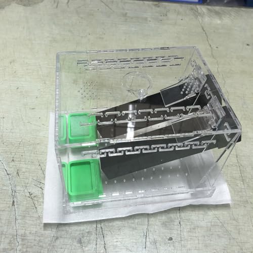Crickets Breeding Box Equipped with Food Water Basins and Absorbent Cotton Breeding Case