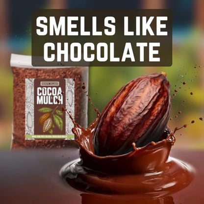 [4 Quarts] Cocoa Mulch for Plants, Garden, Flower Beds, Indoor & Outdoor Plants - Organic Cocoa Bean Shell Mulch | Moisture Retaining, Weed Preventing, Landscaping Mulch - size: 4 Quarts