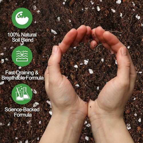 Organic Seed Starter Soil and Potting Mix 10qt，100% Natural,Promotes Rapid Rooting & Germination - color: Sendling Soil, size: 10QT