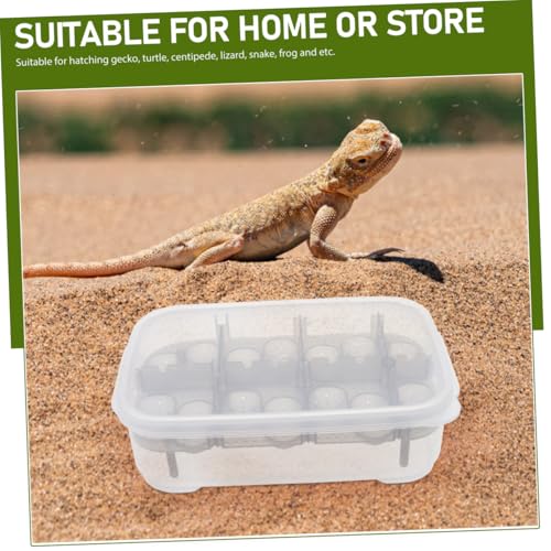 Reptiles Hatching Box Breeding Container for Geckos Turtles and Snakes Transparent Observation Lid Easy to Use and Clean for Home Store