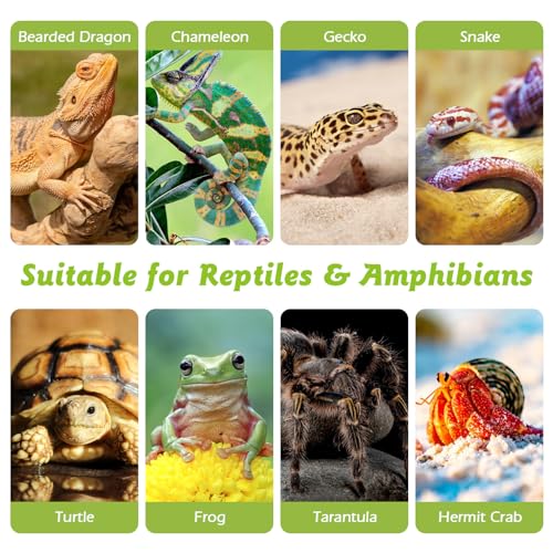 Reptile Cork Bark 1 Lb Flat Cork Wood for Terrarium Small Tree Bark Pieces 3.9-5.9in Natural Bulk Cork Bedding Tank Substrate for Bearded Dragon Snake Spiders Geckos Tortoise Hermit Crabs