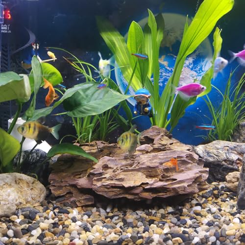 10LB Aquarium Gravel, 1/4" Pea Gravel for Fish Tank, Small River Rocks for Garden Decoration, Landscaping, Vase Filling, Flower Pot Paving(4-8MM) - size: 10LB, style: 4-8MM