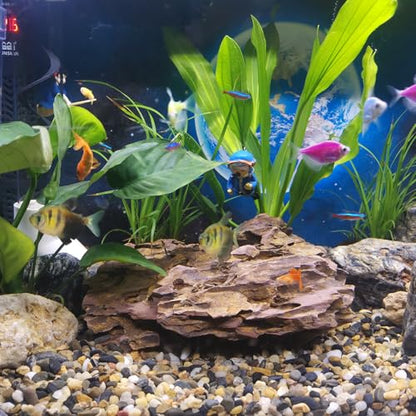 10LB Aquarium Gravel, 1/4" Pea Gravel for Fish Tank, Small River Rocks for Garden Decoration, Landscaping, Vase Filling, Flower Pot Paving(4-8MM) - size: 10LB, style: 4-8MM