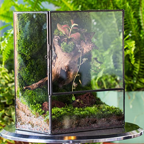NCYP Close Glass Terrarium with Door - 7.8 x 5.1 x 9.8 Inches Landscape Clear Glass Planter for Small Tropical Plants, Moss Wall - Indoor Tabletop Centerpiece, Garden Decor (Terrarium Only) - size: 7.8x5.1x9.8 inches