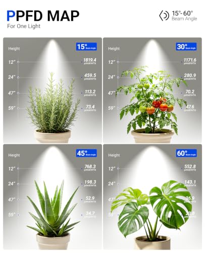 Barrina TR40A Track Plant Lights, 40W Ceiling Grow Lights, 5000K, Black | Adjustable Beam Angle (15°-60°), Full Spectrum, Wall Plant Light with Timer for Greenhouse, Seedling and Vegetable, High PPFD - color: 5000K, size: 40w-black Cover