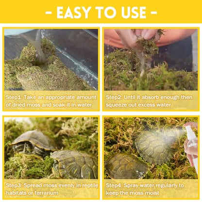Riare 2.6lb Natural Sphagnum Moss for Reptiles, Terrarium Substrate Bedding | 100QT High Expansion, Moisture Retention, Helps Shedding, Long Fibered Dried Moss for Leopard Gecko, Snake, Frog, Turtle - color: 2.6 LB