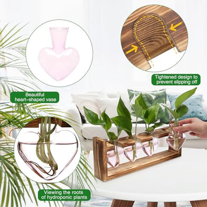Plant Propagation Stations Heart Plant Terrarium Kit | Gift for Women Plant Lover Glass Vases - color: Pink