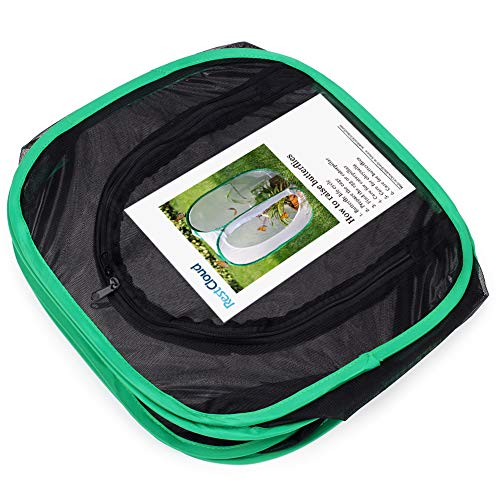 RESTCLOUD Insect and Butterfly Habitat Cage Terrarium Pop-up 12 X 12 X 12 Inches - color: Black With Green, size: 12 x 12 x 12 inches