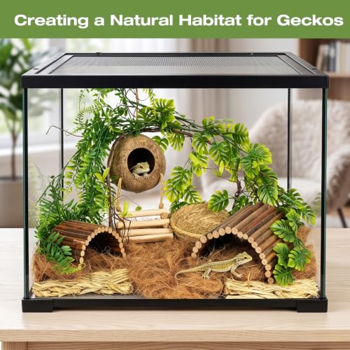 10PCS Crested Gecko Tank Accessories, Leopard Gecko Tank Accessories | Reptile Tank Accessories Kit, Coconut Hide for Crested Gecko/Leopard Gecko/Lizard/Snake/Hermit Crab/Chameleon Terrarium Decor