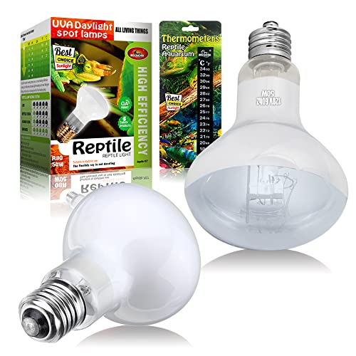 Reptile Heat Lamp Bulbs 100W 2 Pack Basking Light Heat Bulb for Reptiles,UVA Daylight Heating Lamp for Bearded Dragon,Lizard,Turtle,Chicken Pet Brooder with Digital Temperature Thermometer