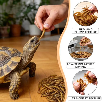 Dried Mealworms for Turtles & Reptiles, 4oz Canister - High Protein Turtle Food, Reptile Treats & Bearded Dragon Food - Natural Feeder Insects for Turtles, Lizards & Monitor, Frog, Chickens
