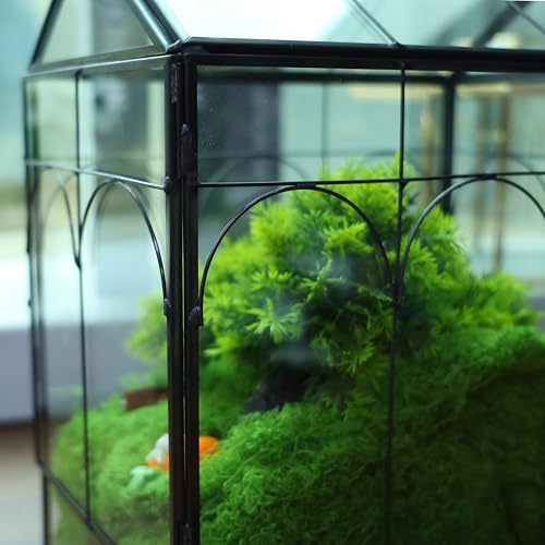 Geometric Plant Terrarium with Lid (Black with Side Door) | House Succulent Terrarium Kit for Succulents Cacti Snail, Home Tabletop Miniature Terrarium - color: Black with side door